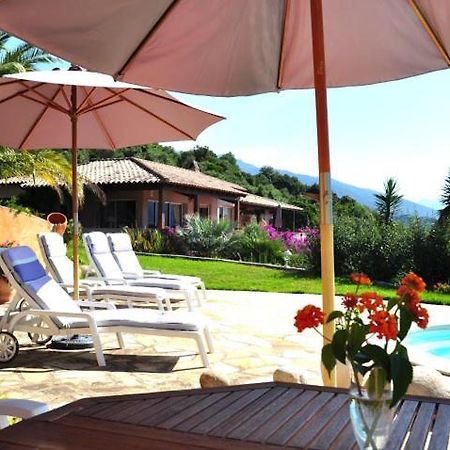 Villa Vetricella Corse Sud Ольмето Екстер'єр фото