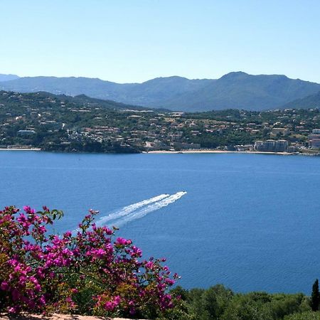 Villa Vetricella Corse Sud Ольмето Екстер'єр фото