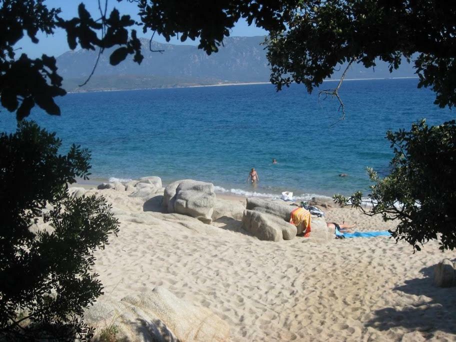 Villa Vetricella Corse Sud Ольмето Екстер'єр фото