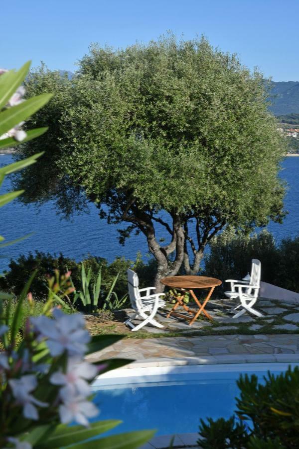 Villa Vetricella Corse Sud Ольмето Екстер'єр фото