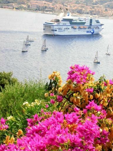 Villa Vetricella Corse Sud Ольмето Екстер'єр фото