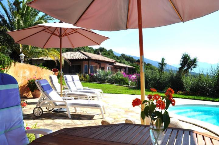 Villa Vetricella Corse Sud Ольмето Екстер'єр фото