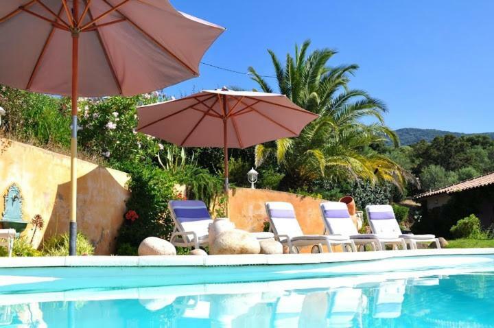 Villa Vetricella Corse Sud Ольмето Екстер'єр фото