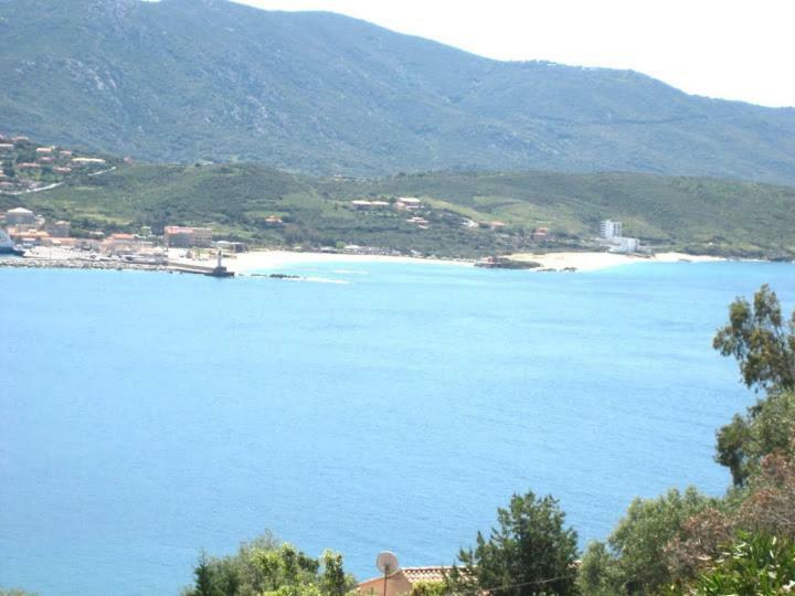 Villa Vetricella Corse Sud Ольмето Екстер'єр фото