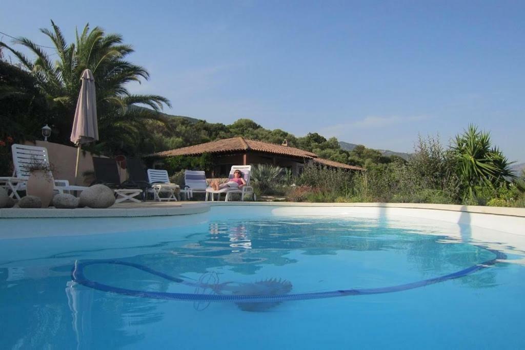 Villa Vetricella Corse Sud Ольмето Екстер'єр фото