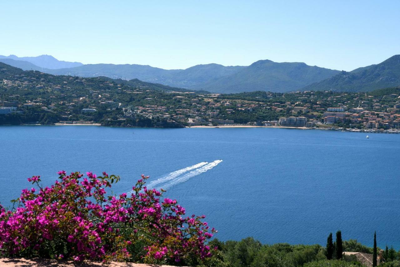 Villa Vetricella Corse Sud Ольмето Екстер'єр фото