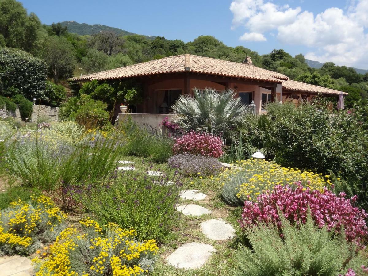 Villa Vetricella Corse Sud Ольмето Екстер'єр фото