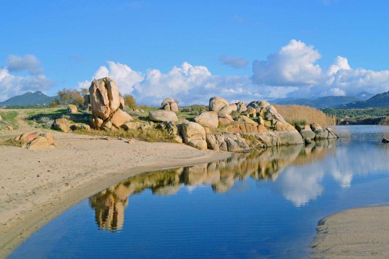 Villa Vetricella Corse Sud Ольмето Екстер'єр фото