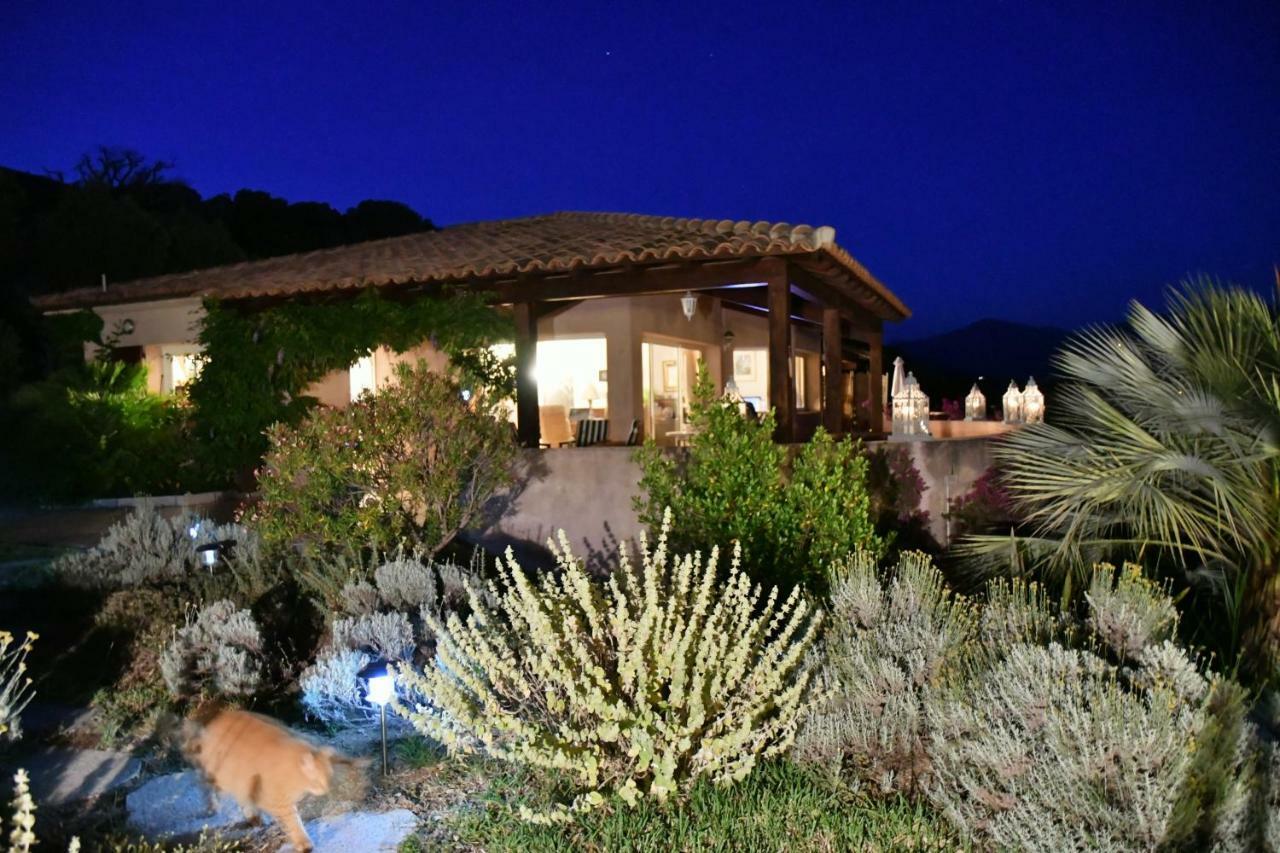 Villa Vetricella Corse Sud Ольмето Екстер'єр фото